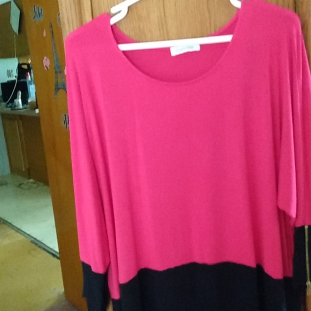 Calvin Klein women's plus size (XL) color block shirt
